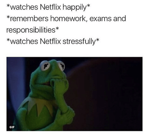 Netflix meemi