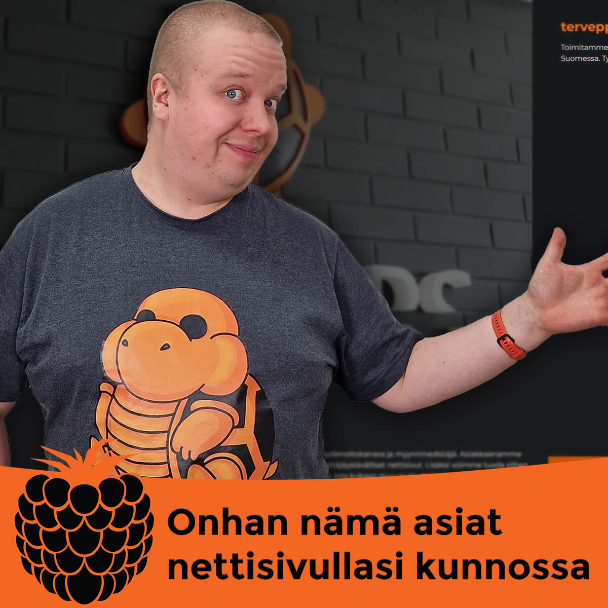 Onhan nämä asiat nettisivullasi kunnossa episode artwork