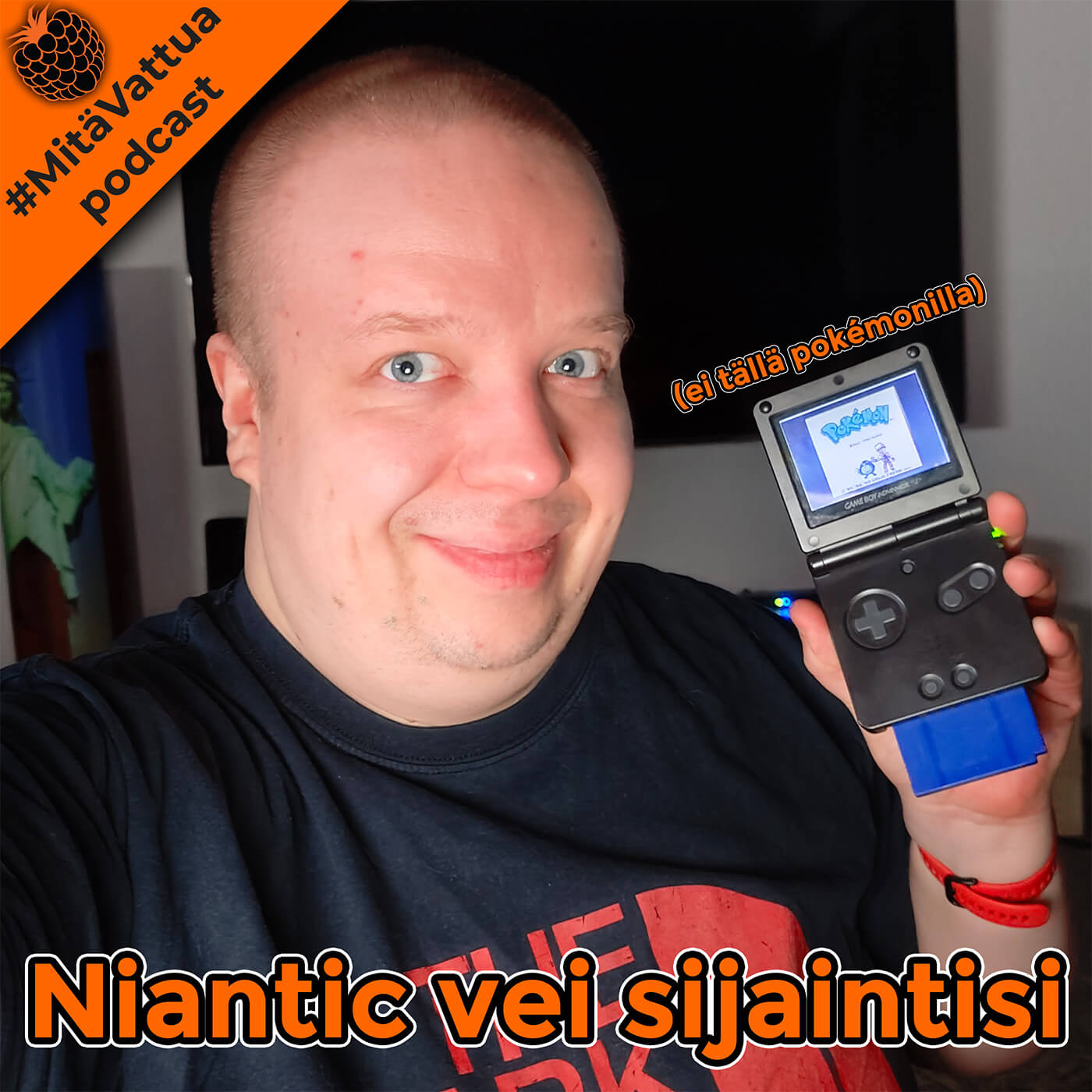 Niantic vei datasi episode artwork