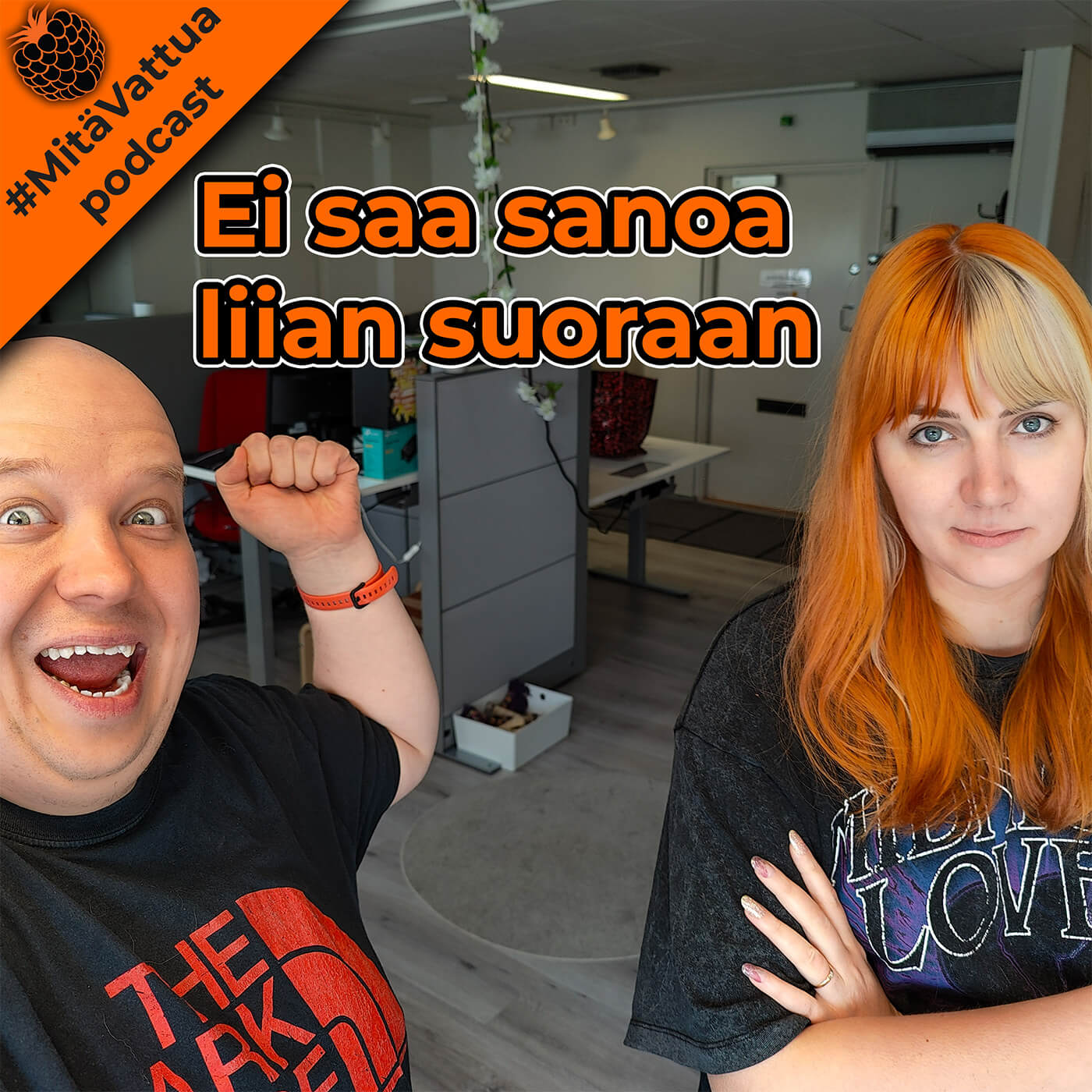 Ei saa sanoa liian suoraan episode artwork