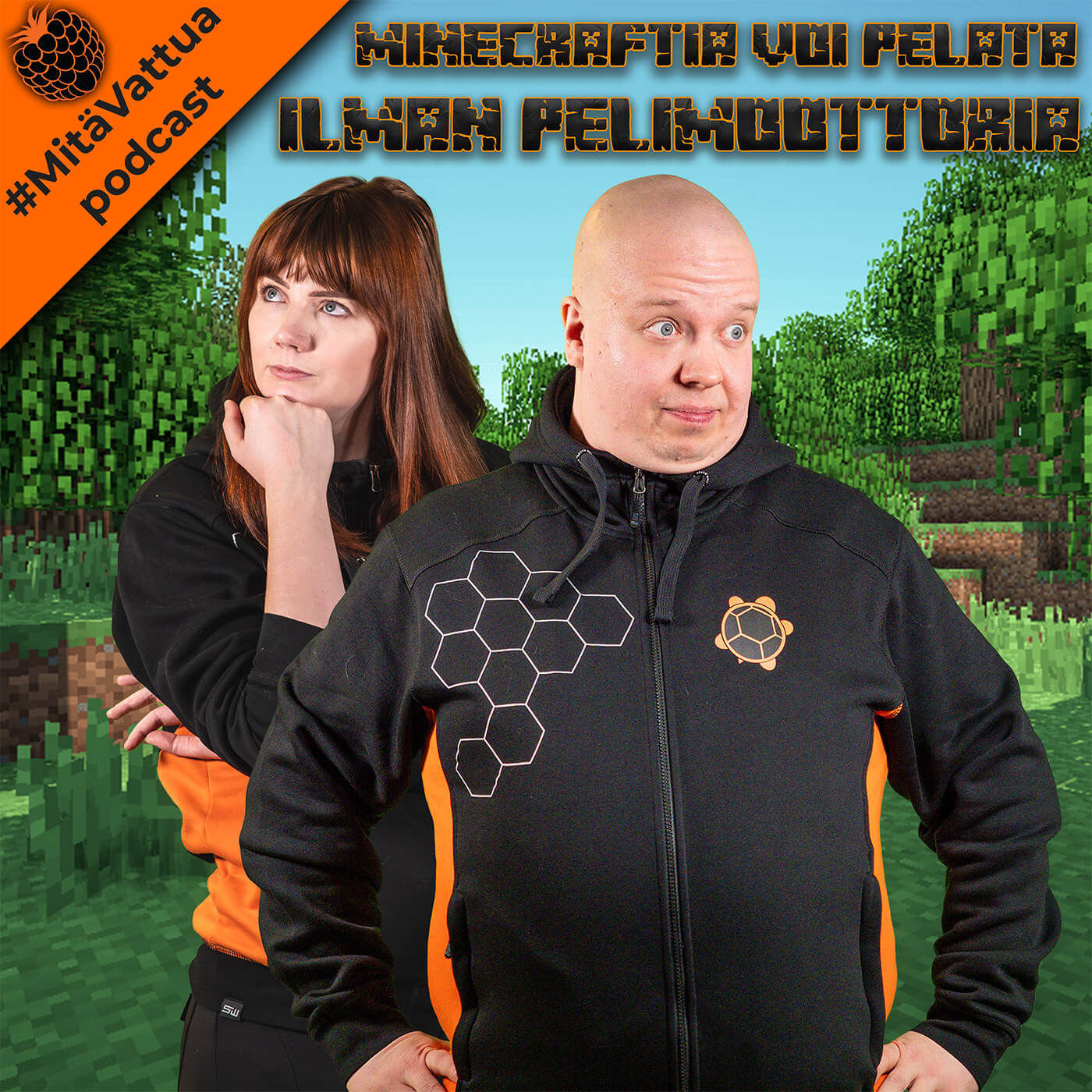 Minecraftia voi pelata ilman pelimoottoria episode artwork