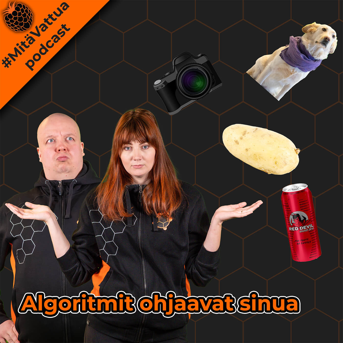 Miten algoritmit ohjaavat sinua episode artwork