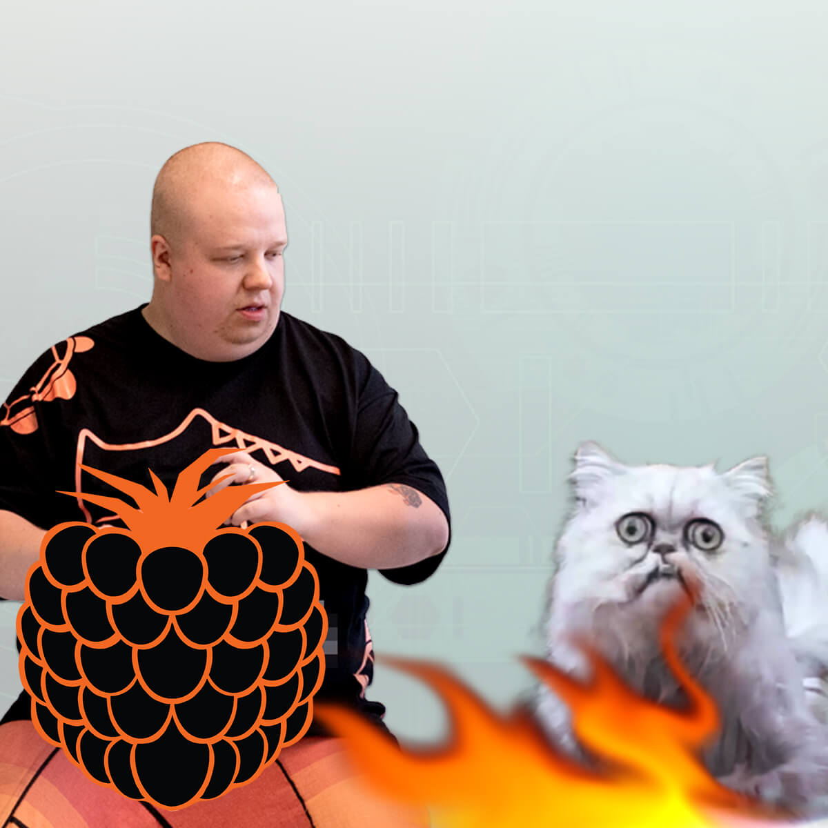 Yleisimmät virheet nettisivuilla - #MitäVattua podcast #115 episode artwork